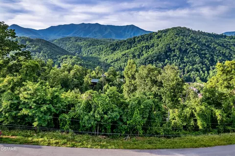 lot0002 Ellis Ogle Rd, Gatlinburg, TN 37738