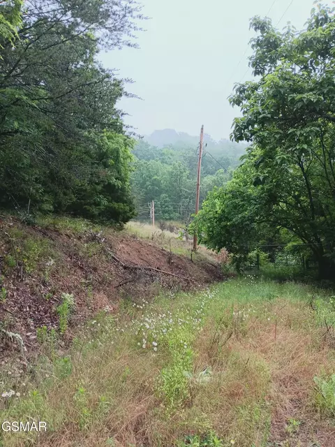 tbd Highway 31, Mooresburg, TN 37811