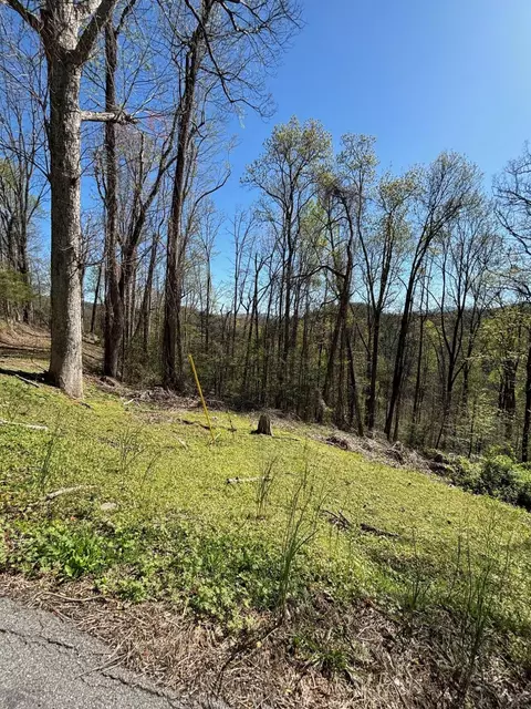 000 Esslinger Low Gap, Gatlinburg, TN 37738