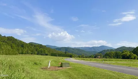 lot145 River Rapids Way, Del Rio, TN 37727