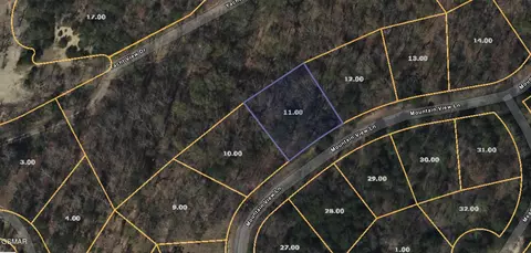 3347 Mountain View Ln, Baneberry, TN 37890