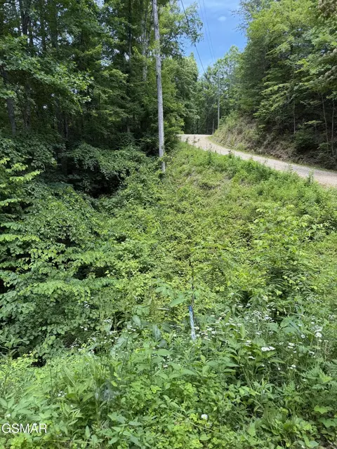lot56 Butternut Ln, Sevierville, TN 37876