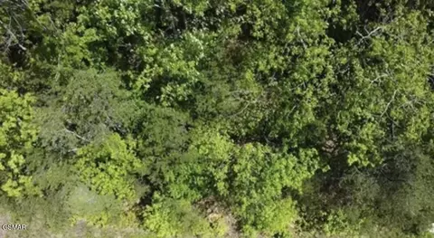 lot81 Yellowwood Dr, Sevierville, TN 37876