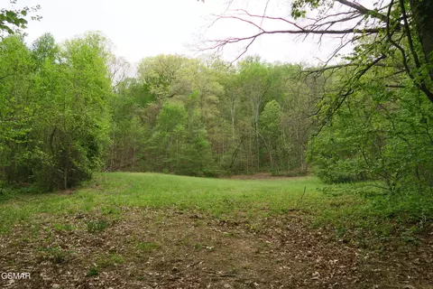 250 Mountain Side Ln, Rocky Top, TN 37769