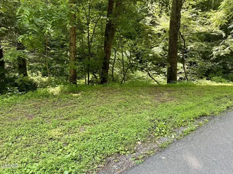 lot706 A School House Gap Rd, Sevierville, TN 37876