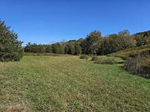 lot35 Shoreline Vis, Sharps Chapel, TN 37866