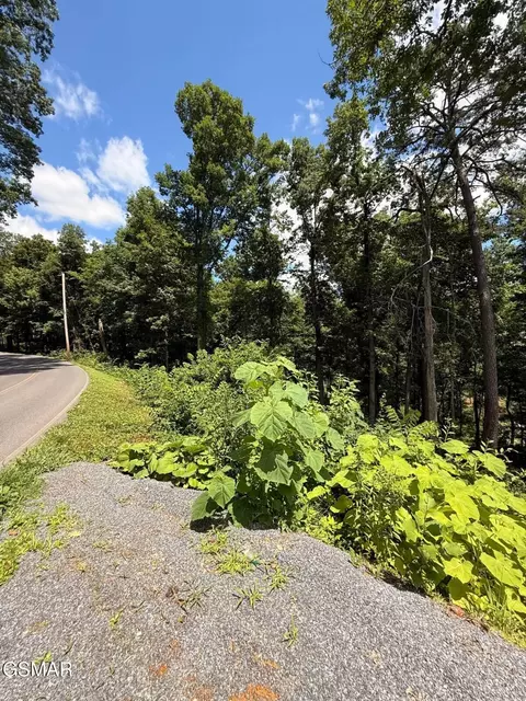lot11 Cherokee Dr, Dandridge, TN 37725