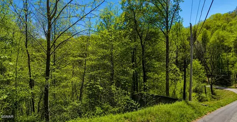1811 Beach Front Dr, Sevierville, TN 37876