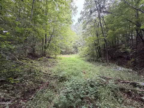 lot1 5 Forge Hideaway Rd, Pigeon Forge, TN 37863 photo 3