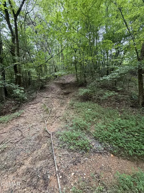 lot1 5 Forge Hideaway Rd, Pigeon Forge, TN 37863 photo 10