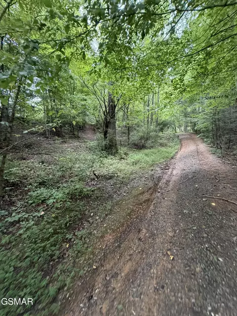 lot1 5 Forge Hideaway Rd, Pigeon Forge, TN 37863 photo 9