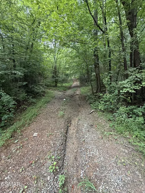 lot1 5 Forge Hideaway Rd, Pigeon Forge, TN 37863 photo 12