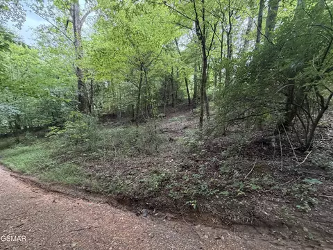 lot1 5 Forge Hideaway Rd, Pigeon Forge, TN 37863 photo 2