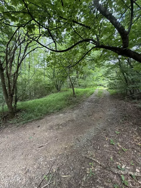 lot1 5 Forge Hideaway Rd, Pigeon Forge, TN 37863 photo 8