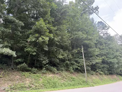 lot1 5 Forge Hideaway Rd, Pigeon Forge, TN 37863 photo 15