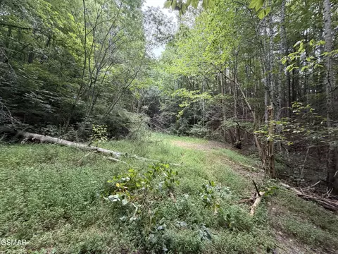 lot1 5 Forge Hideaway Rd, Pigeon Forge, TN 37863 photo 6