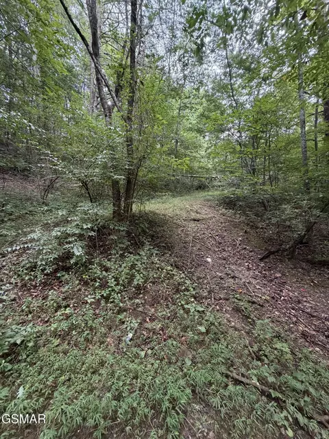 lot1 5 Forge Hideaway Rd, Pigeon Forge, TN 37863 photo 11