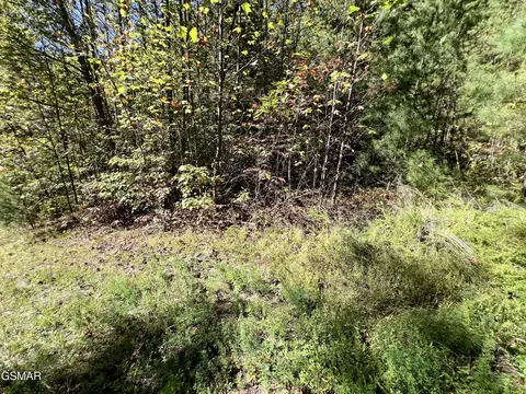 5 61 Acre Creek Hollow Way, Sevierville, TN 37876
