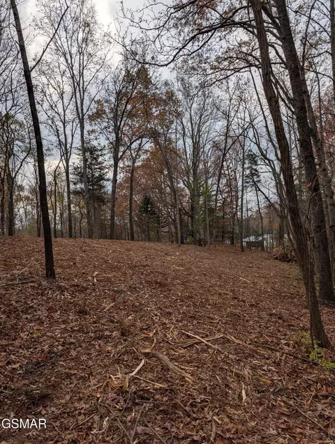 lot3 Midway Rd #LOT 3, Strawberry Plains, TN 37871