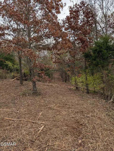 lot S 3 4 Midway Rd, Strawberry Plains, TN 37871