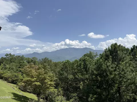 1050 Ski View Dr, Gatlinburg, TN 37738