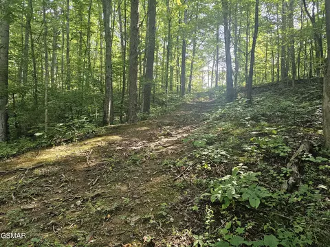 lot2 Franklin Ln, Sevierville, TN 37876
