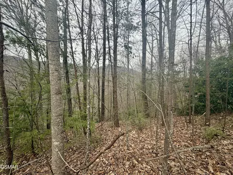 lot6 Thissa Way, Gatlinburg, TN 37738