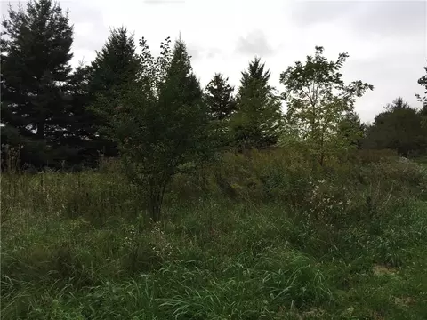 26 250th St, Baldwin, WI 54002 photo 1