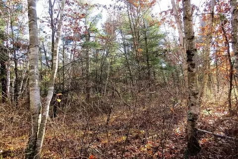 25784 Clark Rd, Webster, WI 54893 photo 20