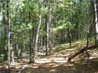 25779 Emerson Rd, Webster, WI 54893 photo 15