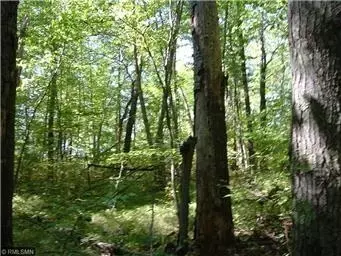 25779 Emerson Rd, Webster, WI 54893 photo 13