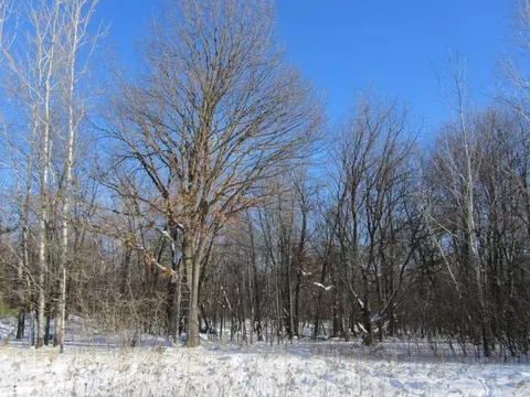 187 24th St, Chetek, WI 54728 photo 6