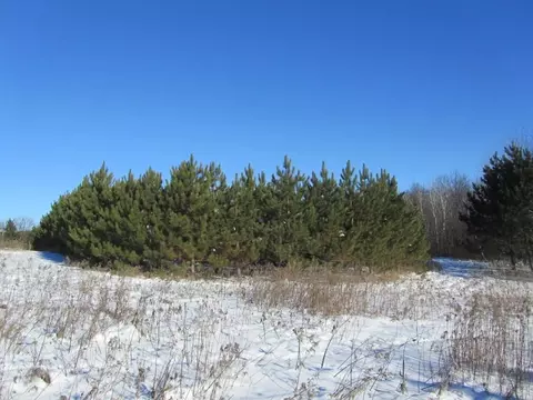 187 24th St, Chetek, WI 54728 photo 7