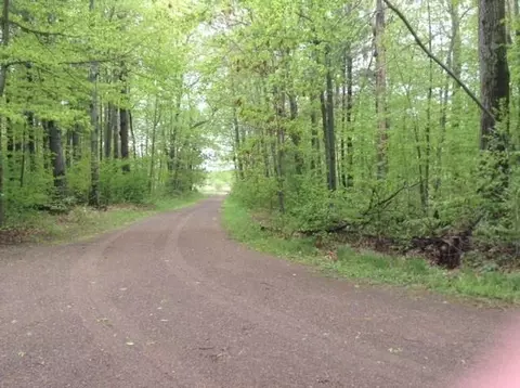 6241 Devils Lake Rd, Webster, WI 54893 photo 25