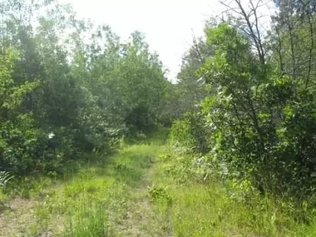 3585 W Hamilton Rd, Springbrook, WI 54875 photo 18