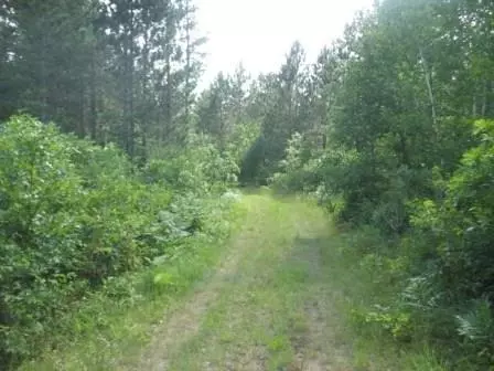 3585 W Hamilton Rd, Springbrook, WI 54875 photo 19