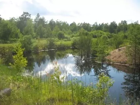 3585 W Hamilton Rd, Springbrook, WI 54875 photo 17