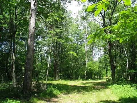 22674 Morse Rd, Frederic, WI 54837 photo 10