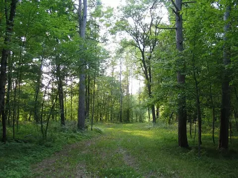 22674 Morse Rd, Frederic, WI 54837 photo 3