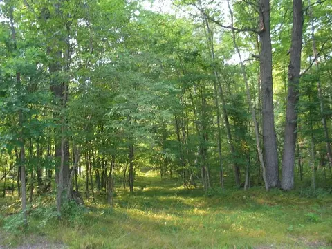 22674 Morse Rd, Frederic, WI 54837 photo 6