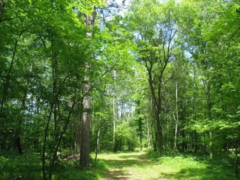 22674 Morse Rd, Frederic, WI 54837 photo 12