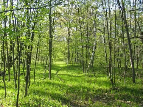 22674 Morse Rd, Frederic, WI 54837 photo 7