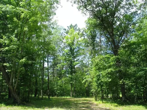 22674 Morse Rd, Frederic, WI 54837 photo 13