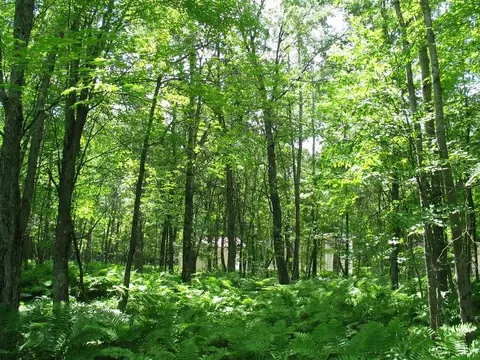 22674 Morse Rd, Frederic, WI 54837 photo 14