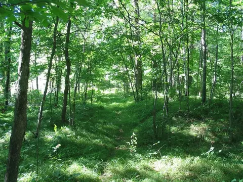 22674 Morse Rd, Frederic, WI 54837 photo 15