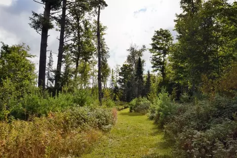 43040 Harmon Dr, Cable, WI 54821 photo 21