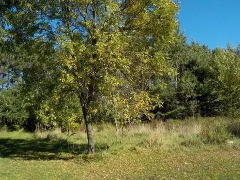 7692 Fairgrounds Rd, Webster, WI 54893 photo 17