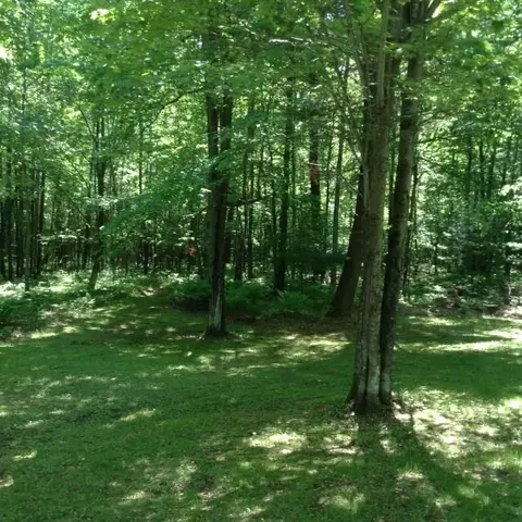 25720 Peterson Rd, Webster, WI 54893 photo 16