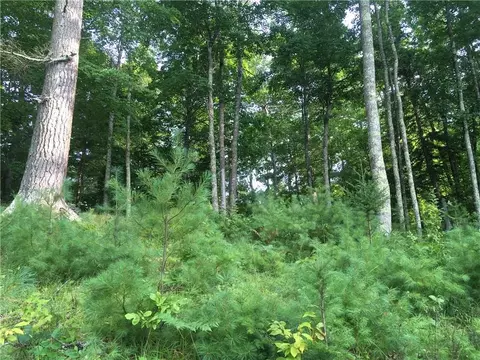 12980 Wald Road Ext, Cable, WI 54821 photo 4
