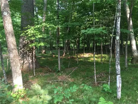 12980 Wald Road Ext, Cable, WI 54821 photo 10